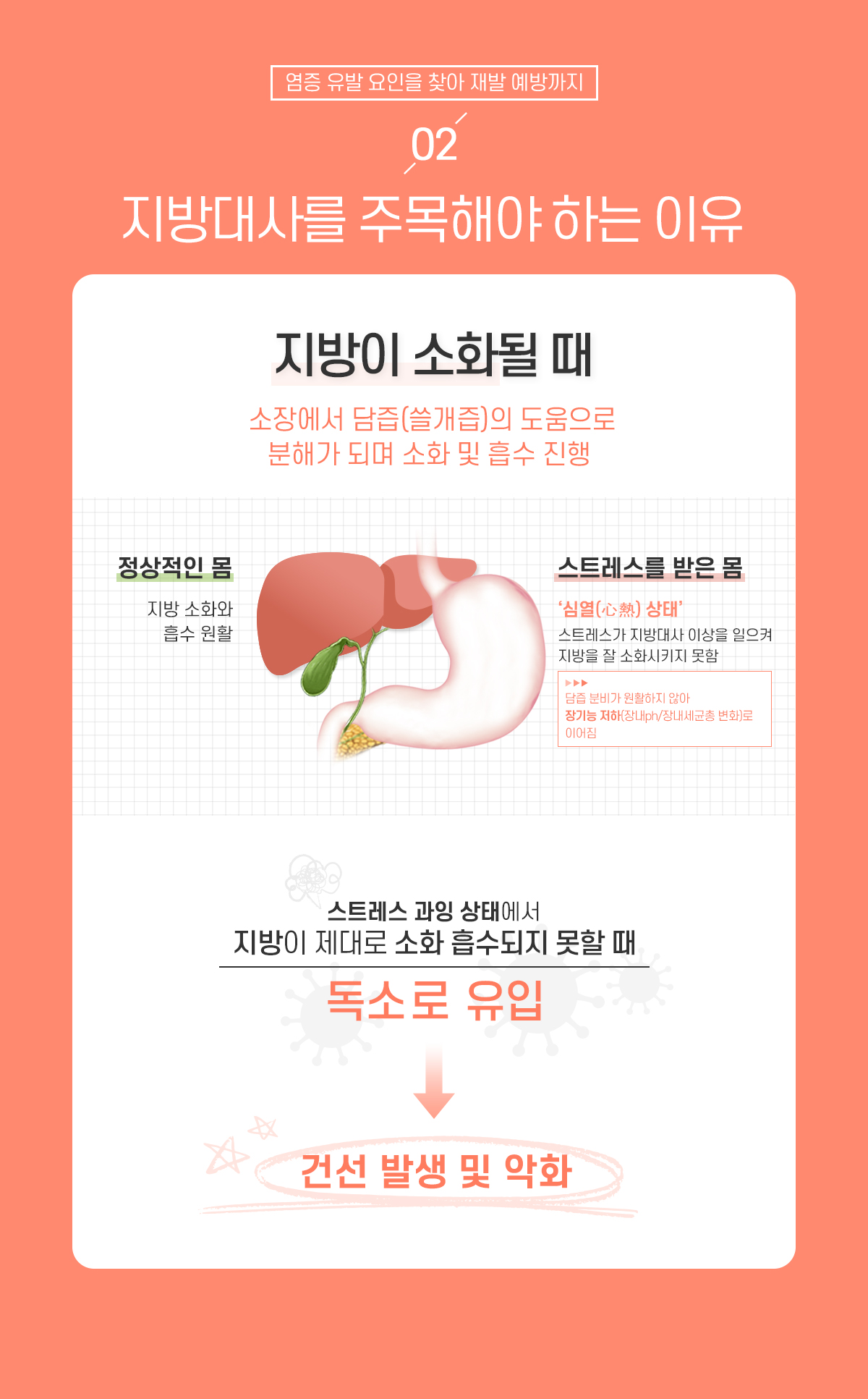 2. 지방대사를 주목해야 하는 이유