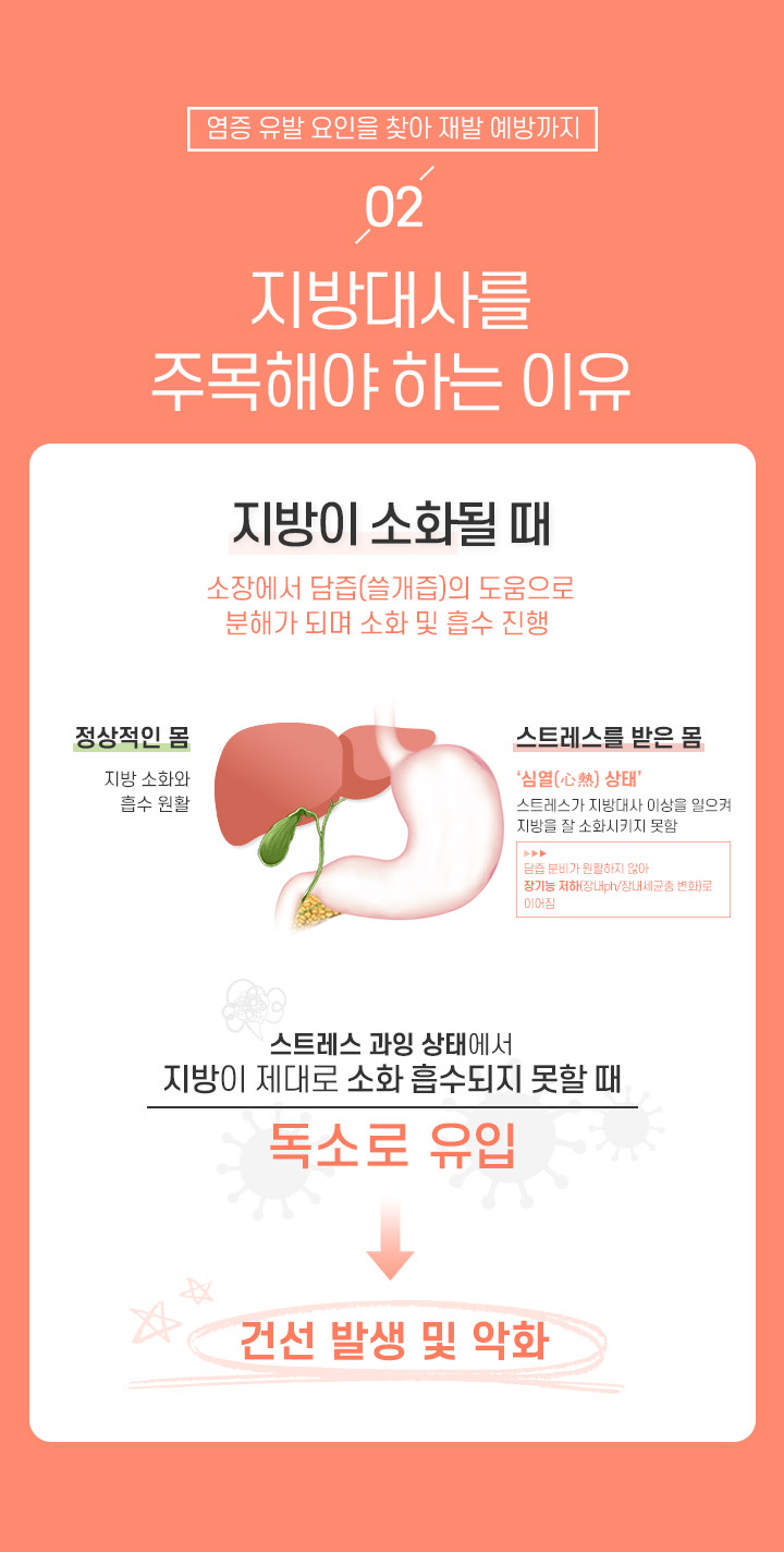 2. 지방대사를 주목해야 하는 이유